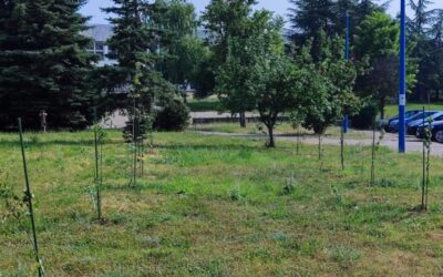 „Voćnjak sjećanja“ – školski projekt